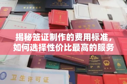 泰顺揭秘签证制作的费用标准，如何选择性价比最高的服务？