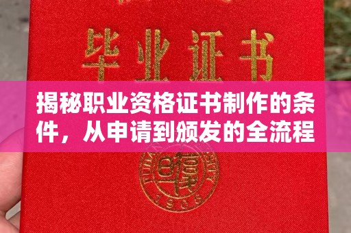 泰顺揭秘职业资格证书制作的条件，从申请到颁发的全流程解析