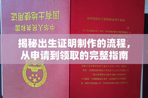 泰顺揭秘出生证明制作的流程，从申请到领取的完整指南