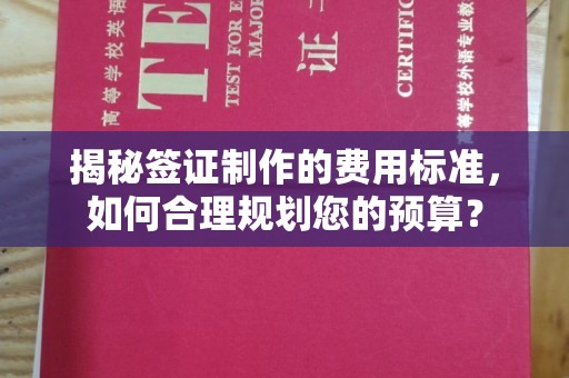 泰顺揭秘签证制作的费用标准，如何合理规划您的预算？