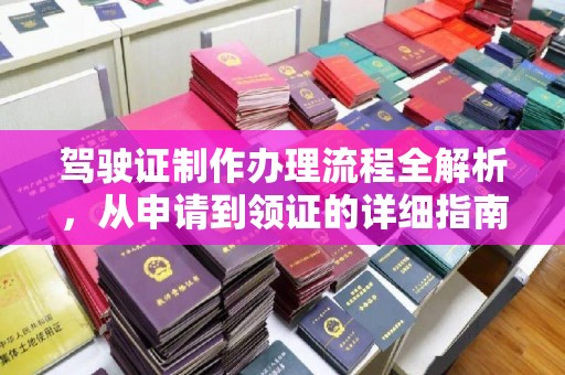泰顺驾驶证制作办理流程全解析，从申请到领证的详细指南