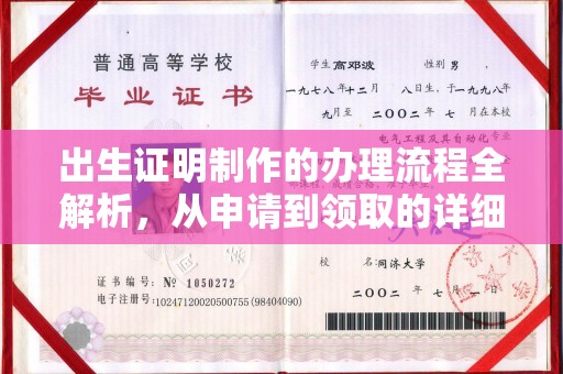 泰顺出生证明制作的办理流程全解析，从申请到领取的详细指南