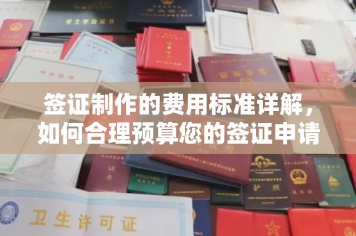 泰顺签证制作的费用标准详解，如何合理预算您的签证申请成本